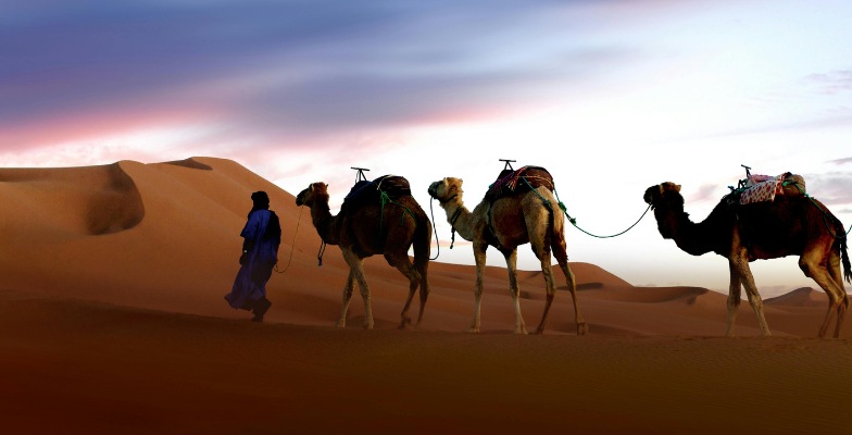 Excursión en camello y noche en campamento en Erg Chebbi, Merzouga