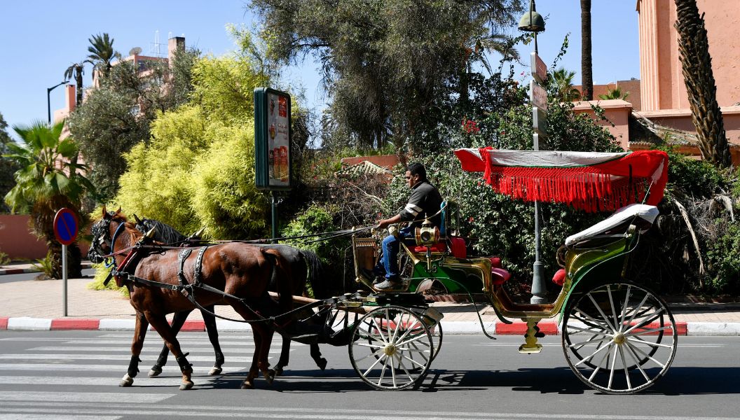 Tour de 11 días de Marrakech a Chefchaouen: de sur a norte