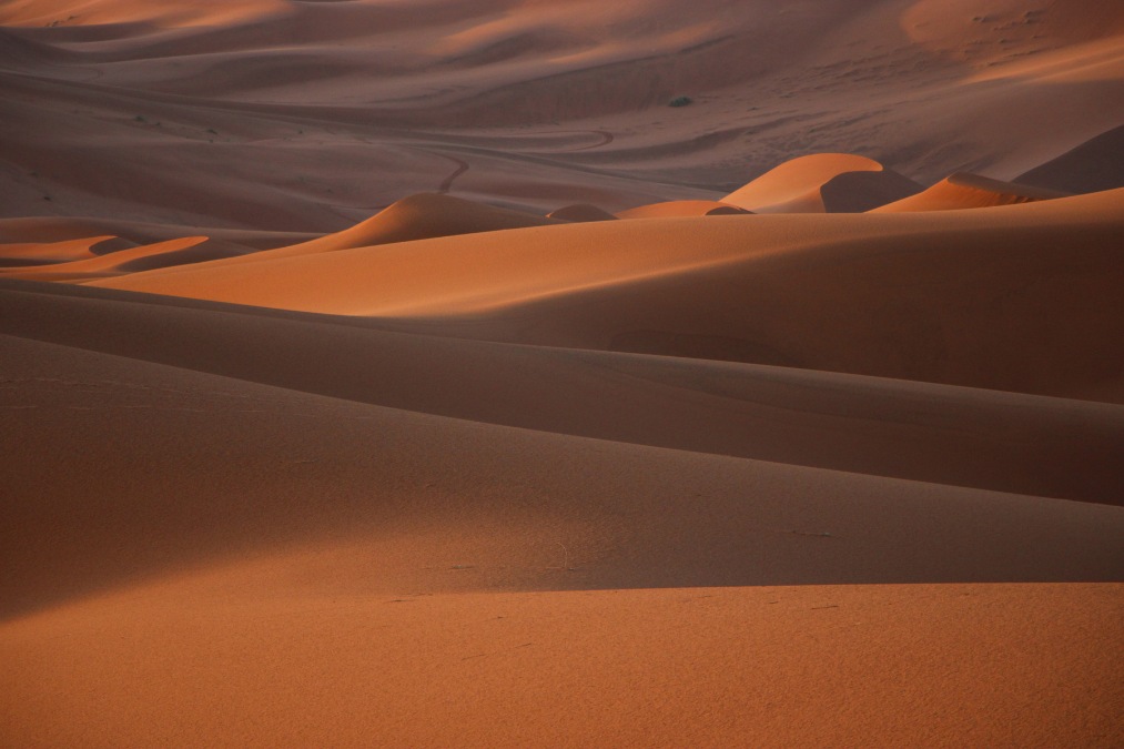 Circuito de 8 días por el Sahara desde Marrakech por Merzouga y el valle del Draa - foto 8