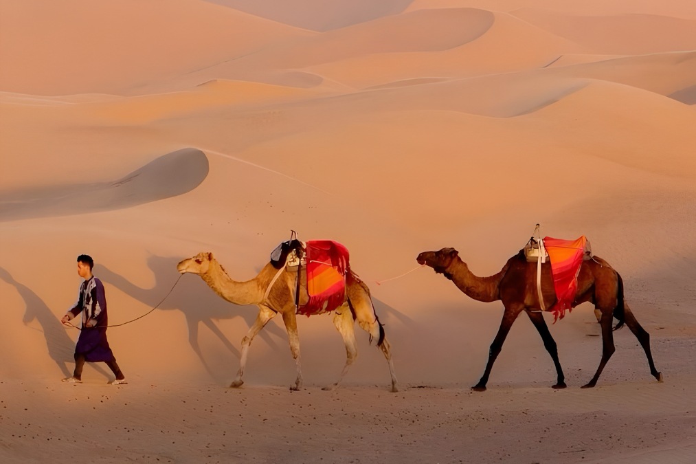 Tour de 4 días por el desierto de Fez a Marrakech