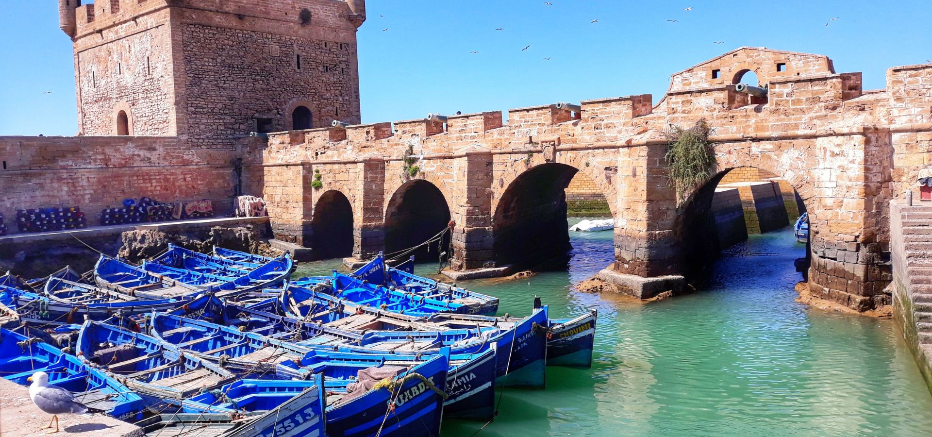 Essaouira City